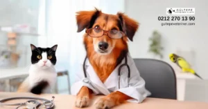 Boynunda steteskop bulunan ve doktor gömleği giymiş köpek , yanında kedi