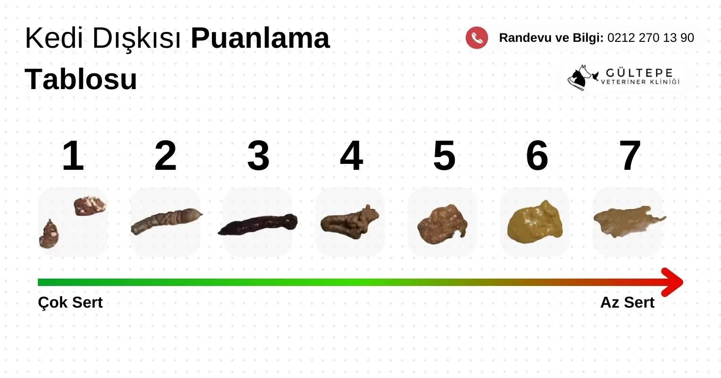Bu görsel, kedilerin dışkı skorlamasını göstermektedir. Skor 1, çok sert ve kuruyken, Skor 7 ise tamamen sıvı ve şekilsiz dışkıyı ifade eder. Bu skorlama sistemi, kedi sahiplerine ve veteriner hekimlere, kedilerin sindirim sağlığı hakkında önemli bilgiler sağlar. Özellikle, Skor 6 ve 7, ishalin belirtileri olarak kabul edilir ve bu durumlar veteriner hekim kontrolünü gerektirir.
